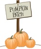 Pumpkin Picking 2023